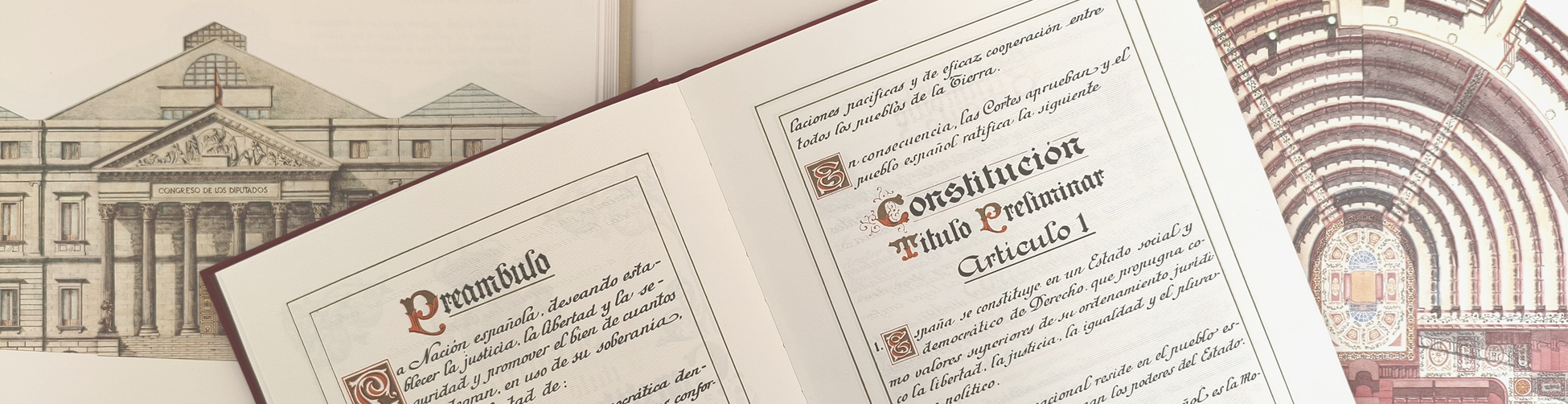 Imagen de la Constitución